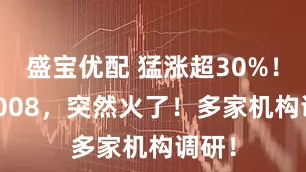 盛宝优配 猛涨超30%！301008，突然火了！多家机构调研！